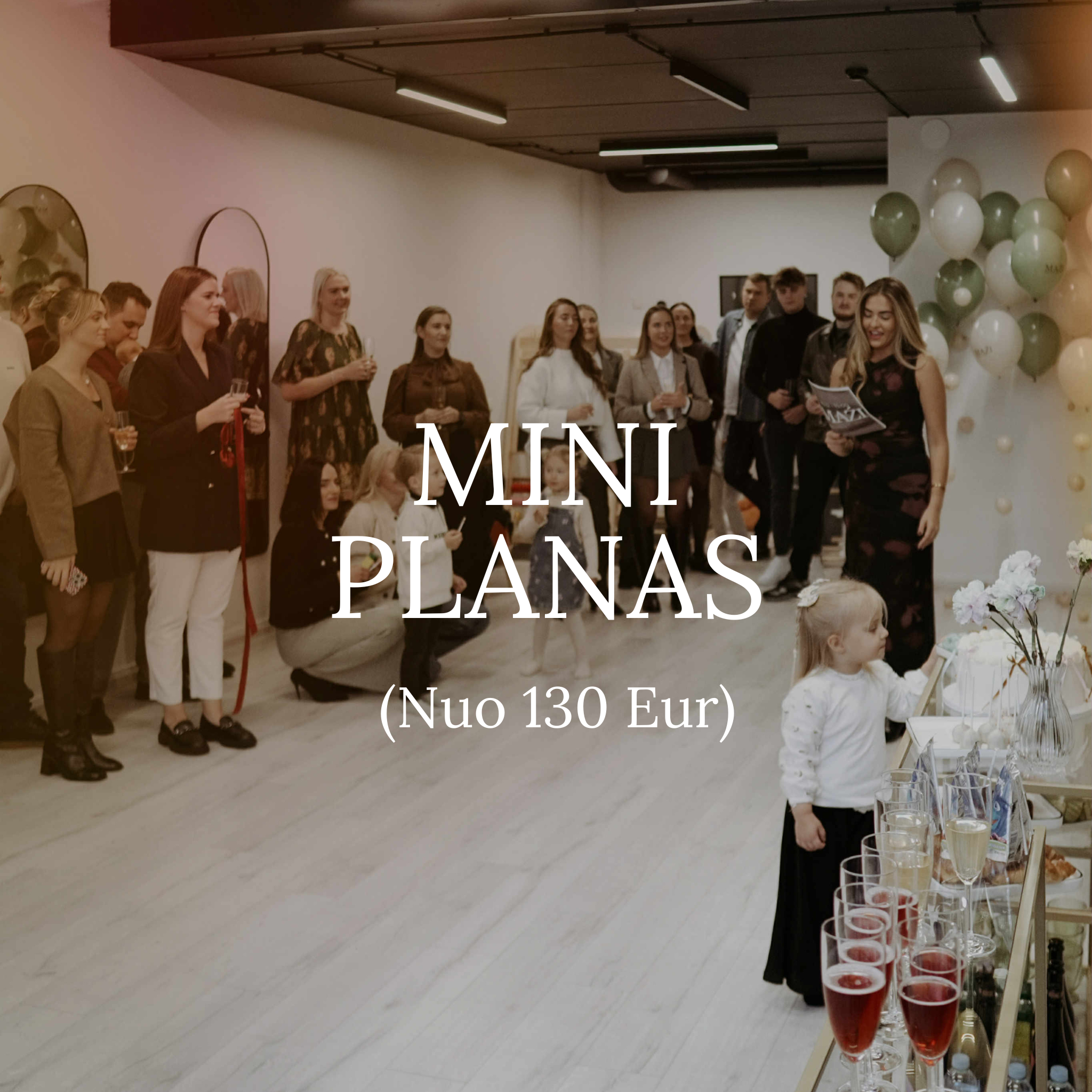 Gimtadienio planas MINI